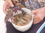 Ko Ra Na Tiger Prawn, normal prawns.JPG (102 KB)